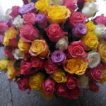 Kód: L020  obsah:  Mix 60 růží