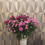 Kód: N012   cena: od 39,-